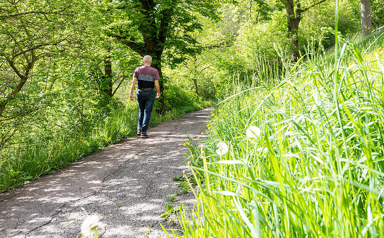 Im Taubertal bewegen sich Wanderer mitten in der idyllischen Natur. Im Taubertal bewegen sich Wanderer mitten in der idyllischen Natur.