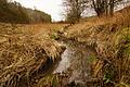 Dunkelbraun ist das Wasser im Fuchsstädter Bach im Rottenbaurer Grund, nachdem in der Nacht auf Dienstag gut eine Million Liter Gärreste aus einer Biogasanlage gelaufen sind. Der Bach ist jetzt biologisch tot.
