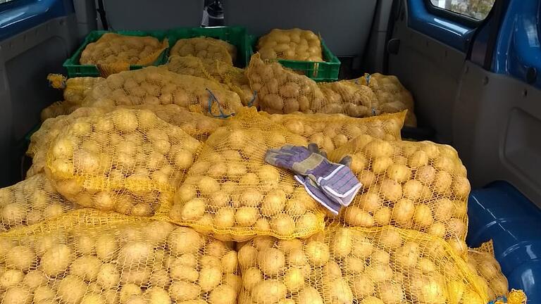 Von Privatmann angeboten als Bio-Kartoffeln, an die Lohrer Tafel abgegeben: 500 Kilogramm im Lieferwagen der Lohrer Tafel (Anm. der Redaktion: In einer früheren Version hieß es fälschlicherweise 500 Zentner).