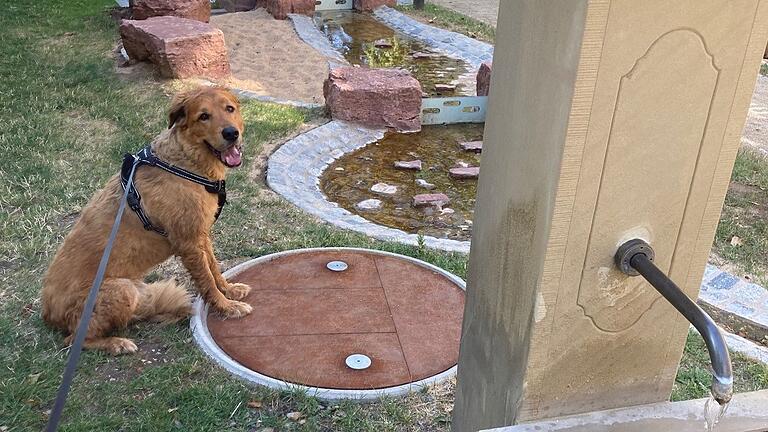 Der Wasserspielplatz in Castell ist klein, aber fein. Auch Hunde sind hier willkommen. Der Wasserspielplatz in Castell ist klein, aber fein. Auch Hunde sind hier willkommen. 