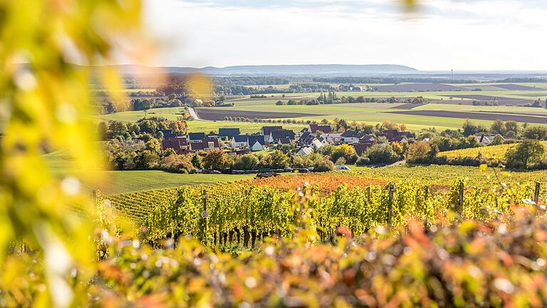 Unterwegs auf dem rund neun Kilometer langen Wanderweg 'Ums Mahlholz' rund um Gerolzhofen. Vom Wein-Pavillon am Franziskus hat man einen herrlichen Ausblick in die Landschaft. Hier auf die Weinberge oberhalb von Wiebelsberg. Unterwegs auf dem rund neun Kilometer langen Wanderweg 'Ums Mahlholz' rund um Gerolzhofen. Vom Wein-Pavillon am Franziskus hat man einen herrlichen Ausblick in die Landschaft. Hier auf die Weinberge oberhalb von Wiebelsberg.
