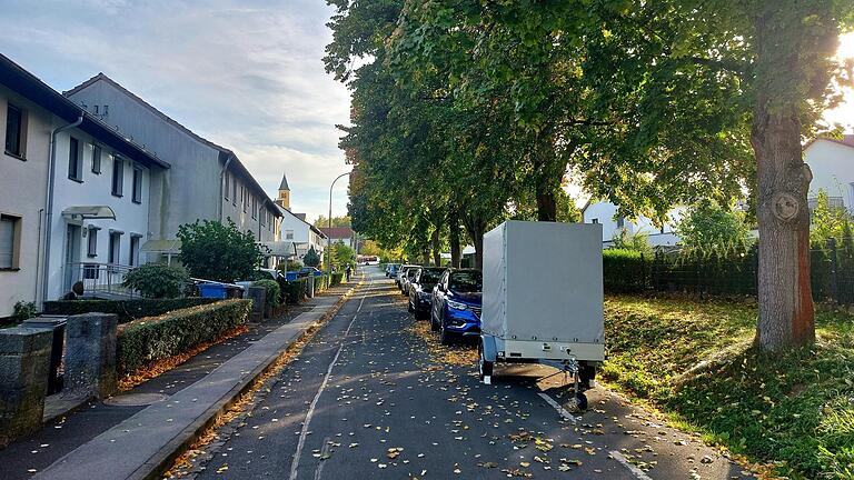 Groß und mächtig sind die Bäume 'Am Sportplatz'. Schön, aber auch voller Gefahrenpotential. Die Stadt wurde aufgefordert, einen notwendigen Rückschnitt in die Wege zu leiten.