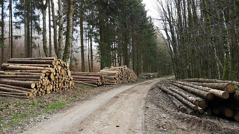 Im Sondheimer Wald werden in den nächsten Jahren einigen kostspielige Investitionen zur Aufforstung notwendig. Schadholzanfall, Wind- und Schneebruch sind dafür verantwortlich.