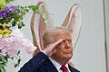 Ostereiersuche im Garten des Weißen Hauses       -  Donald Trump steht vor einem großen Osterhasen - und es sieht so aus, als hätte er sich die Ohren geliehen.