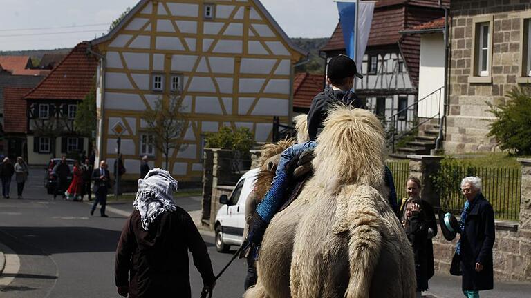 Ein Kamel ist auf das altehrwürdige frühere Rathaus Oberlauringens auch zu Rückerts Zeiten noch nie zugeritten. Bei der Eröffnung des Poetikums war es aber bei Kindern und Erwachsenen für eine kleine Reise auf dem Wüstenschiff sehr begehrt.