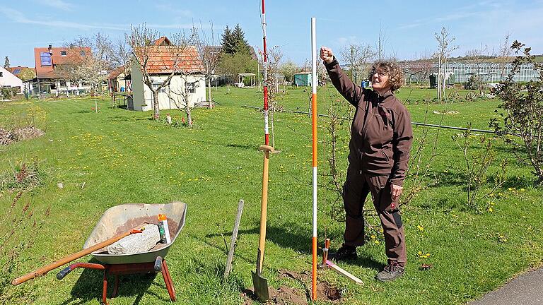 Metermaß, Setzlatte, Hammer, Spaten und einiges mehr an Gerätschaften brauchen die Feldgeschworenen bei ihrer Arbeit. Karin Bischoff ist nicht nur eine von wenigen Frauen bei den Siebenern im Landkreis Kitzingen, sondern auch Obfrau der Feldgeschworenen in Segnitz.