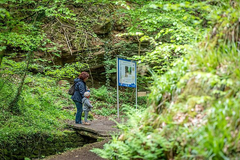 Der Weg führt zunächst durch die Enge der romantischen Seltenbachschlucht. Die Seltenbachschlucht zählt zu den 100 schönsten Geotopen Bayerns.