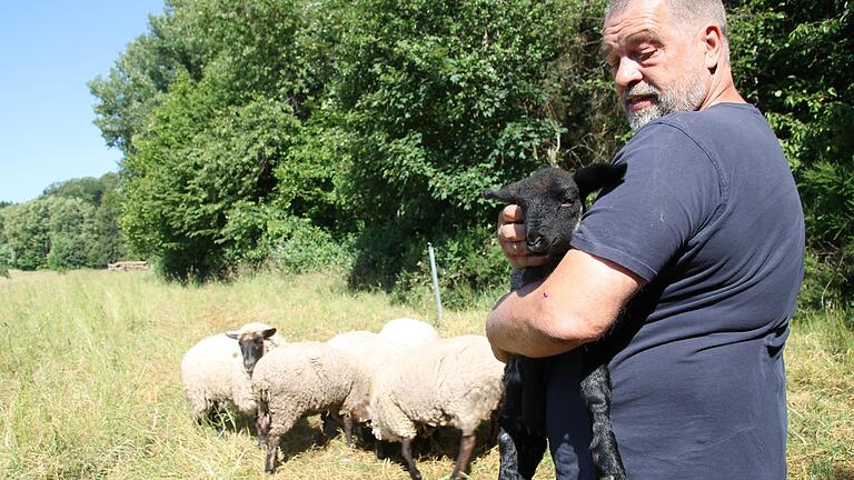 Bei Richard Weis aus Rengersbrunn hat der Wolf zugeschlagen.