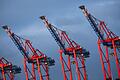 Containerbrücken.jpeg       -  Wird die Wirtschaft den Herausforderungen trotzen, die 2024 für sie bereithält?