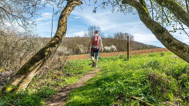 Unterwegs zur Wacholderheide bei Münnerstadt: Der zertifizierte Wanderweg verläuft hauptsächlich auf Wiesenwegen und Waldpfaden.