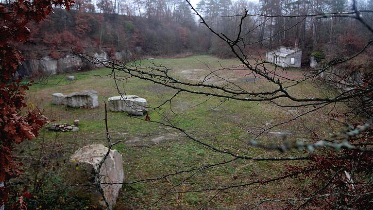 Blick in den aufgelassenen Kellerbruch, in dem die „Erlebniswelt Fränkischer Sandstein“ entstehen soll.