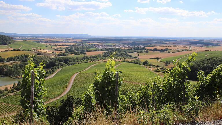 Der Panoramablick vom Weinberg in Oberschwarzach.