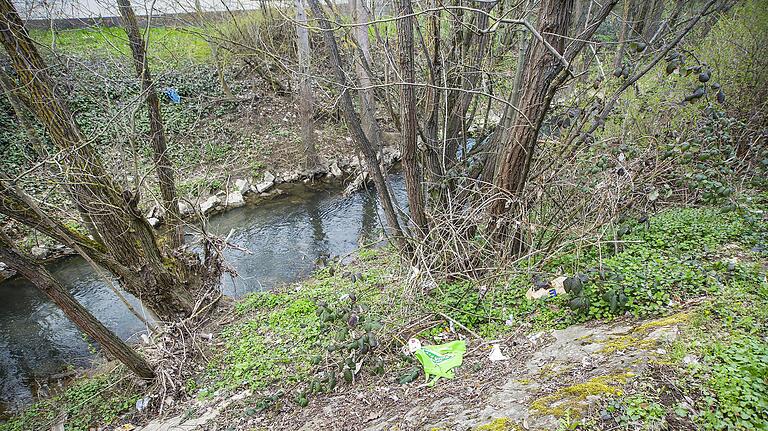 Dass am Abhang zum Bachlauf einiges an Müll in den Büschen liegt, ist kaum zu übersehen. Martin Krauß weigert sich aber, dafür die Verantwortung zu übernehmen: Was könne er denn dafür, wenn andere Leute dort etwas wegschmeißen? Dass am Abhang zum Bachlauf einiges an Müll in den Büschen liegt, ist kaum zu übersehen. Martin Krauß weigert sich aber, dafür die Verantwortung zu übernehmen: Was könne er denn dafür, wenn andere Leute dort etwas wegschmeißen?