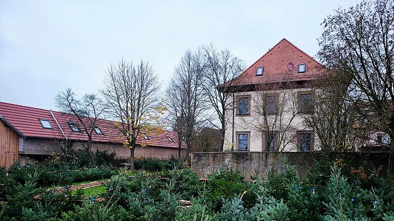 Frisch geschlagene Bäume, aber auch einen Adventsbasar, Musik und mehr wartet auf die Besucher des Christbaummarktes in Gramschatz am 7. und 8. Dezember.