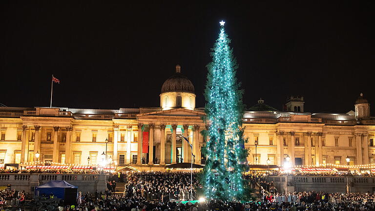 Weihnachtsbäume von traditionell bis digital.jpeg       -  Der Weihnachtsbaum auf dem Trafalgar Square im Zentrum Londons wurde 2019 als 'erbärmlich' verspottet.