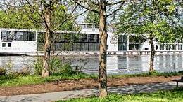 Eine Anlegestelle für Fluss-Kreuzfahrtschiffe kann nun auf Höhe von Eltmann entstehen, weil der Stadtrat zustimmte, dass die städtische Zufahrtsstraße von den Bussen genutzt werden kann. Eine Anlegestelle für Fluss-Kreuzfahrtschiffe kann nun auf Höhe von Eltmann entstehen, weil der Stadtrat zustimmte, dass die städtische Zufahrtsstraße von den Bussen genutzt werden kann.