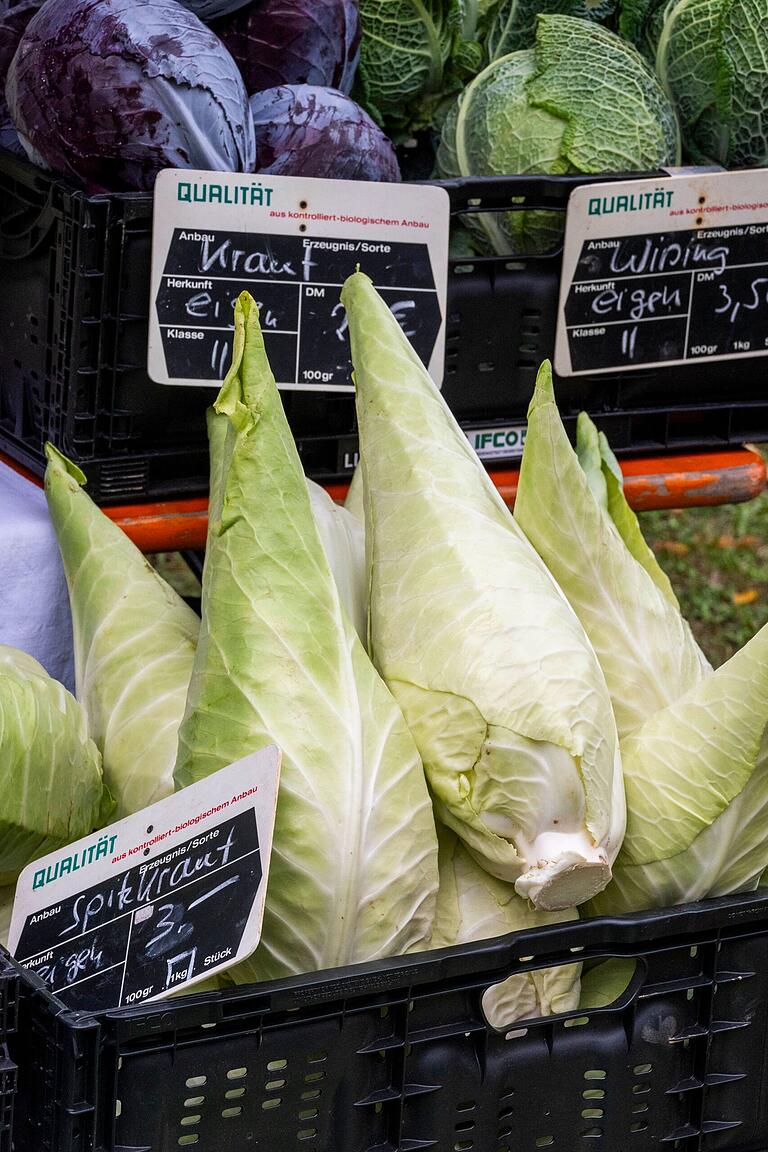 Die Öko-Modellregion stadt.land.wü. setzt sich dafür ein, das Bewusstsein für saisonale und regionale Bio-Lebensmittel zu stärken. Frisch vom Acker gibt es hier Spitzkraut, Kraut und Wirsing. Die Öko-Modellregion stadt.land.wü. setzt sich dafür ein, das Bewusstsein für saisonale und regionale Bio-Lebensmittel zu stärken. Frisch vom Acker gibt es hier Spitzkraut, Kraut und Wirsing.