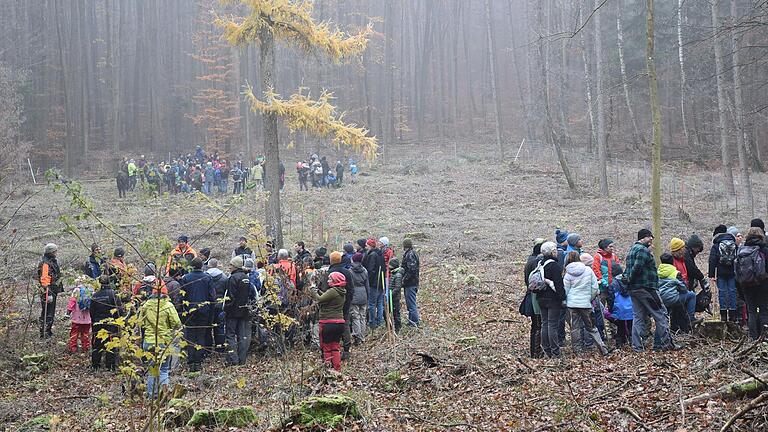 Die Freiwilligen des Bergwald waren am vergangenen Samstag vor Ort in der Hundsbacher Waldabteilung 'Mausgrund', um dort standortheimische Laubbäume zu pflanzen. Mit dabei waren auch Schülerinnen, Schüler, deren Eltern, Großeltern und Lehrkräfte sowie die Umweltgruppe des Deutschhaus-Gymnasiums aus Würzburg.