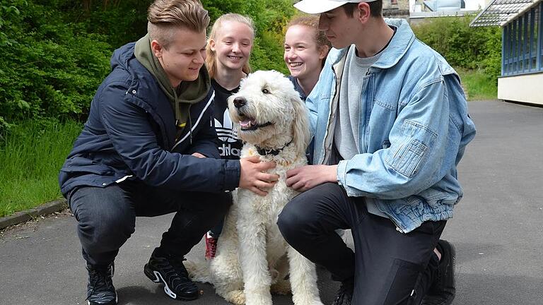 Cookie, der Hund von Beratungslehrer Oliver Goldfuss, hat im Deutschhaus-Gymnasium eine Menge Fans unter den Schülern gewonnen.