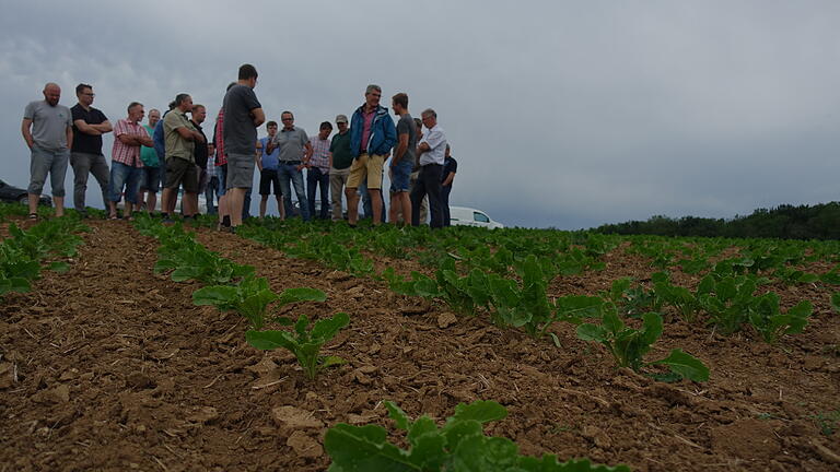 Ökolandbau in der Praxis – auf dem Bio-Zuckerrübenfeld von Biohof Cäsar