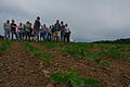Ökolandbau in der Praxis – auf dem Bio-Zuckerrübenfeld von Biohof Cäsar