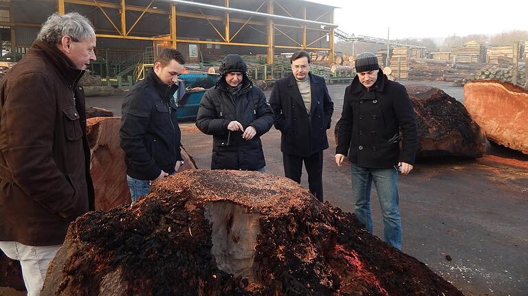 Ein Foto aus der Zeit vor Corona: Drei Mitarbeitern einer russischen Firma wird Sequoia-Rundholz gezeigt. Ein Foto aus der Zeit vor Corona: Drei Mitarbeitern einer russischen Firma wird Sequoia-Rundholz gezeigt.