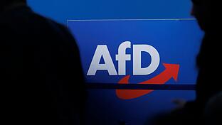 Die AfD kam bei der Bundestagswahl im Wahlkreis Bad Kissingen auf 23 Prozent. Damit konnte sie ihr Ergebnis fast verdoppeln. Das Foto wurde im Juli 2023 beim AfD-Bundesparteitag in Magdeburg aufgenommen.&nbsp;