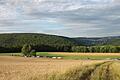 Auf dieser Lichtung oberhalb von Harrbach soll ein Solarpark entstehen, ein weitere ist in Massenbuch geplant (Archivbild).