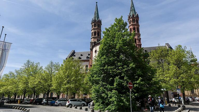 Vielen Bürgern fehlt es an Grün in der Innenstadt. Bild oben: Neubepflanzung in der Eichhornstraße; unten: Einer der wenigen großen Bäume innerhalb des Bischofshuts, rund 60 Jahre alte Linde am Paradeplatz.
