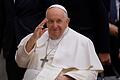 Papst Franziskus.jpeg       -  Papst Franziskus wurde offenbar in ein Krankenhaus gebracht.
