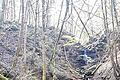In Klingelbachschlucht abgestürzt       -  (jos)   Von einem erfolgreichen Bergrettungseinsatz am Freitagnachmittag in der Klingelbachschlucht nahe dem Kloster Triefenstein berichtet das Bayerische Rote Kreuz. Demnach ist ein Jugendlicher dem Augenschein nach offenbar beim Klettern ohne Fremdeinwirkung etwa zehn Meter tief abgerutscht. Er erlitt dabei schwere Verletzungen und wurde mit dem Rettungshubschrauber Christoph 18 in eine Würzburger Klinik gebracht. Ein Freund, der ihn bei seinem Ausflug begleitete, alarmierte um 14.17 Uhr die Hilfskräfte. Daraufhin rückten die Bergwacht Frammersbach, der BRK-Helfer vor Ort aus Triefenstein, ein Rettungswagen des Roten Kreuzes aus Marktheidenfeld und der BRK-Einsatzleiter Rettungsdienst zum Unfallort. Der Patient wurde in einer Gebirgstrage mit Seilsicherung schonend von der Bergwacht Frammersbach in Zusammenarbeit mit der Feuerwehr Trennfeld gerettet. Vom Kreisverband Main-Spessart des Roten Kreuzes waren insgesamt 13 haupt- und ehrenamtliche Einsatzkräfte im Einsatz. Außerdem wurde die Feuerwehr Trennfeld inklusive der Kreisbrandinspektion mit insgesamt 17 Einsatzkräfte nachalarmiert.
