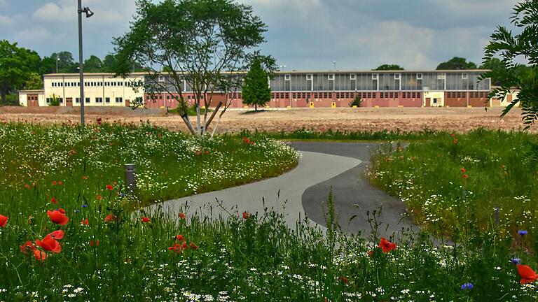 Blick von Süden an der Carus-Allee in Richtung des geplanten Bürgerparks im Nord-Westen der alten Panzerkaserne mit der Panzerhalle 237 im Hintergrund. Bis 2028 entsteht hier ein neuer Park.
