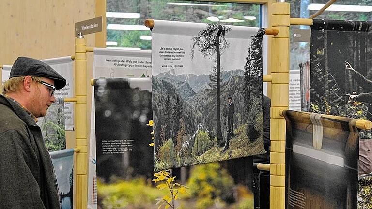 Der Wald hat Zukunft: Zehn verschiedene Themenbäume informieren in der jetzt eröffneten neuen Wanderausstellung „Bäume – der bayerische Weg“ im Steigerwaldzentrum „Nachhaltigkeit erleben“ in Handthal die Besucher. Zusehen ist sie dort noch bis zum Donnerstag, 29. Oktober. Der Wald hat Zukunft: Zehn verschiedene Themenbäume informieren in der jetzt eröffneten neuen Wanderausstellung „Bäume – der bayerische Weg“ im Steigerwaldzentrum „Nachhaltigkeit erleben“ in Handthal die Besucher. Zusehen ist sie dort noch bis zum Donnerstag, 29. Oktober.