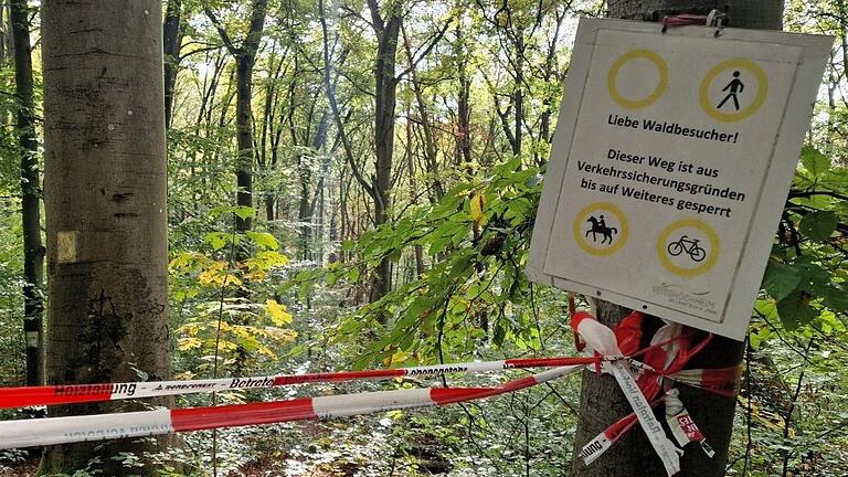 Wegen einer Vielzahl schadhafter Bäume hat die Gemeinde vor über fünf Jahren aus Verkehrssicherungsgründen den Dorlesweg als Teil des überörtlichen Mainwanderweges gesperrt. Wegen einer Vielzahl schadhafter Bäume hat die Gemeinde vor über fünf Jahren aus Verkehrssicherungsgründen den Dorlesweg als Teil des überörtlichen Mainwanderweges gesperrt.