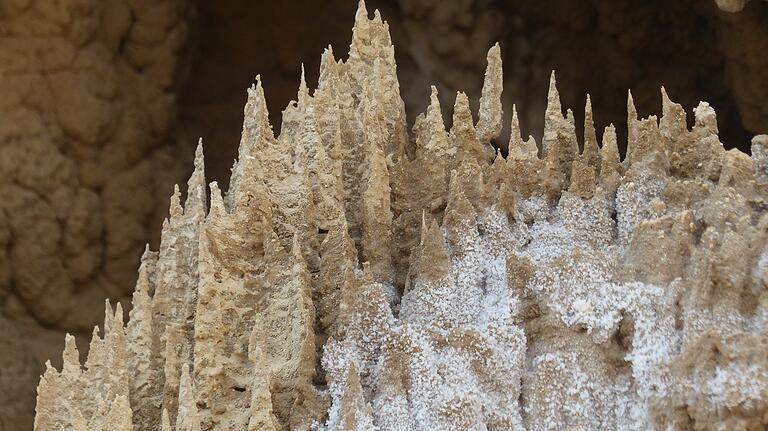 Wie in einer Tropfsteinhöhle: Salzkristalle am Toten Meer.