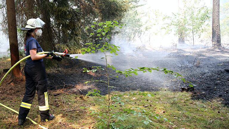 Gut 25.000 Quadratmeter Fläche standen bei dem Waldbrand zwischen Stockstadt am Main und Babenhausen (Hessen) in Flammen. Gut 25.000 Quadratmeter Fläche standen bei dem Waldbrand zwischen Stockstadt am Main und Babenhausen (Hessen) in Flammen.