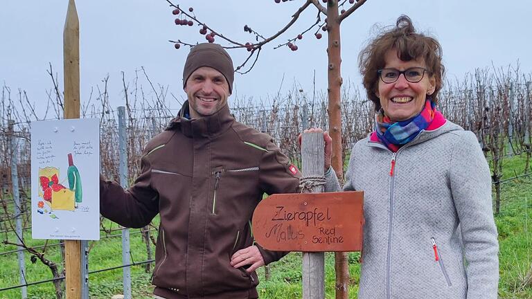 Über mehrere Projektjahre haben Susanne Neuser und Michael Wenninger Sitzgelegenheiten, Bäume und jüngst auch Cartoons von Peter Gaymann in die Sommerhäuser Weinberge gebracht.