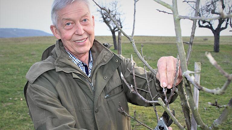 Alte Zweige abschneiden: Mehr Zeit für die Natur und seine Obstbäume hat Otto Hünnerkopf. Der Politiker im Ruhestand wird am Sonnag 70 Jahre alt.