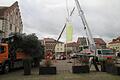 Der Zunftbaum musste dem Christbaum weichen. Vier Schwerlast-Fahrzeuge und ein Dutzend Männer wurden für den Wechsel benötigt.       -  Der Zunftbaum musste dem Christbaum weichen. Vier Schwerlast-Fahrzeuge und ein Dutzend Männer wurden für den Wechsel benötigt.