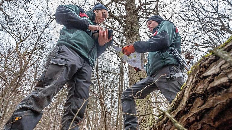 Andreas Hiller (links) und Samuel Thumm, beide Förster, auf der Suche nach Totholz und Biotopbäumen im Forstrevier Kitzingen.