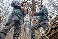 Andreas Hiller (links) und Samuel Thumm, beide Förster, auf der Suche nach Totholz und Biotopbäumen im Forstrevier Kitzingen.