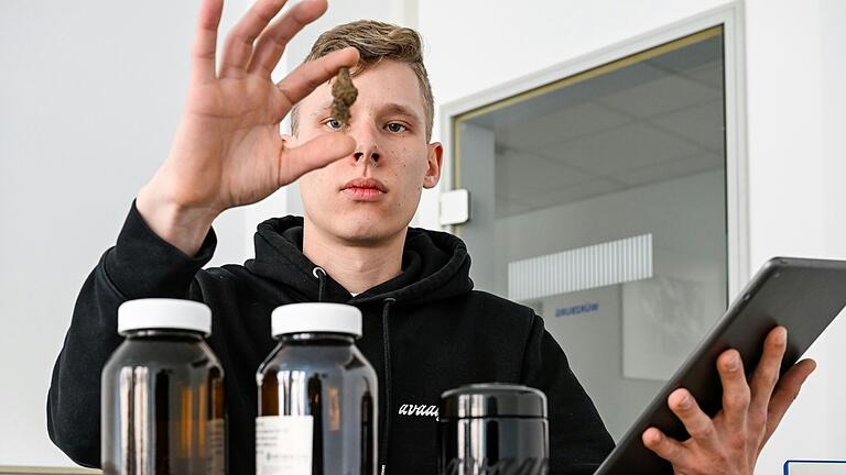 Calvin Gosselke ist einer von sechs Gründern und Gründerinnen eines Cannabis-Vereins in Würzburg. Calvin Gosselke ist einer von sechs Gründern und Gründerinnen eines Cannabis-Vereins in Würzburg.