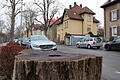 Nur noch die Stümpfe sind übrig von den Bäumen, die Stadtarbeiter kürzlich in der Kitzinger Kanzler-Stürtzel-Straße gefällt haben.