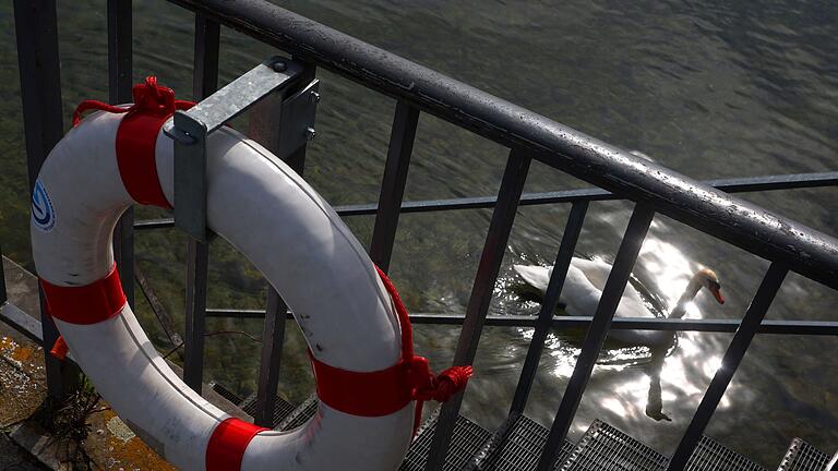 Bodensee       -  An dem Rettungsring konnte sich der 29-Jährige festhalten, bis ein Rettungsboot ihn an Land brachte. (Symbolbild)