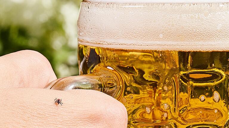 Zecken lauern im Sommer gerne auch in Biergärten auf ihre Opfer.