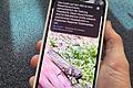 Apple Intelligence auf einem iPhone       -  Schicke Schrecke, aber welche ist es genau? Apples Visual Intelligence kann mit Hilfe von ChatGPT auch solche Rätsel lösen.