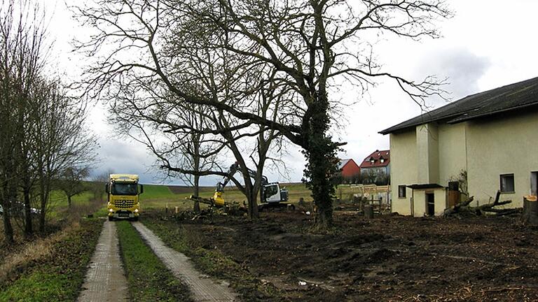 Abbrucharbeiten am ehemaligen Ponyhof: Die Stämme der gefällten Bäume wurden schon abtransportiert und das Geäst vor Ort gehäckselt.