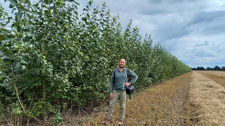 Agroforst-Planer Philipp Gerhardt an einem einjährigen Pappelstreifen an einem abgeernteten Getreidefeld in Brandenburg.