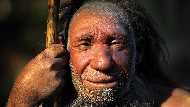 Dieser freundliche Herr ist ausgestorben. Vielleicht, weil er keine Maske trug. (Nachbildung im Neanderthal-Museum in Mettmann).