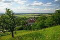 Nicht nur die Landschaft um Castell ist ein Genuss: Ab sofort darf sich die Gemeinde zu den 100 Genussorten Bayerns zählen.